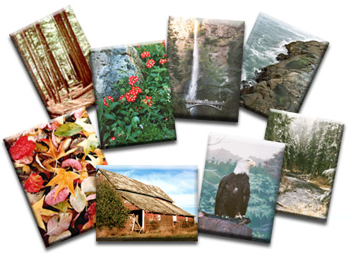 Selection of images from Creative Collections