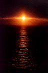 {short description of image}