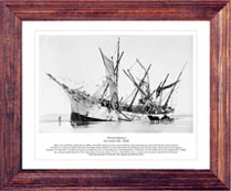 {short description of image}