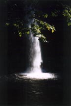 {short description of image}